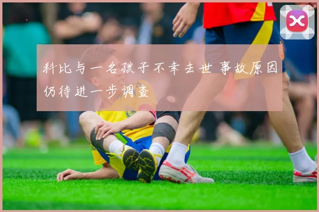 科比与一名孩子不幸去世 事故原因仍待进一步调查