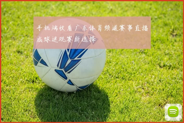 手机端收看广东体育频道赛事直播成球迷观赛新选择