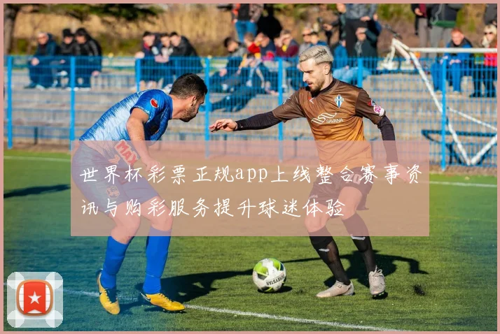世界杯彩票正规app上线整合赛事资讯与购彩服务提升球迷体验