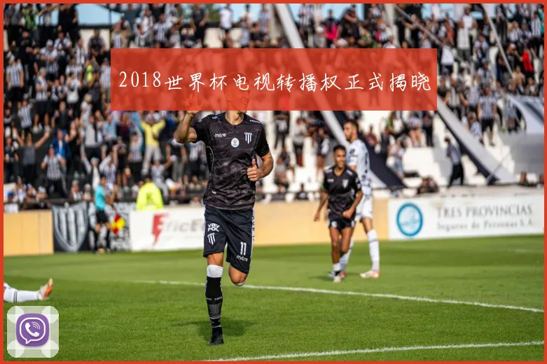 2018世界杯电视转播权正式揭晓