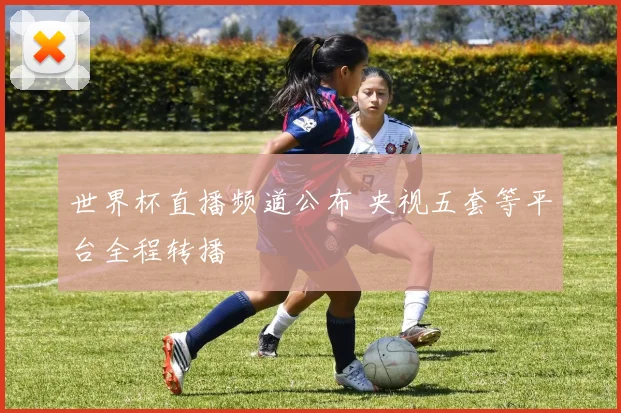世界杯直播频道公布 央视五套等平台全程转播