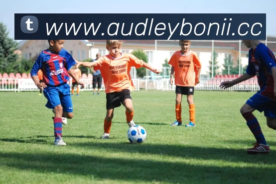 完美体育·完美登陆入口 - 完美online(中国)服务体系